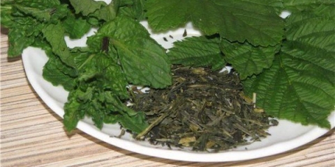 Kada sakupljati listove ribizle za zimu i kako sušiti